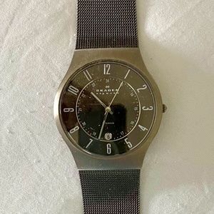Skagen Mens Watch